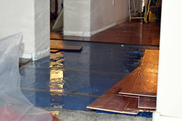 Professional Basement Flood Cleanup technician working in Weldon, NC